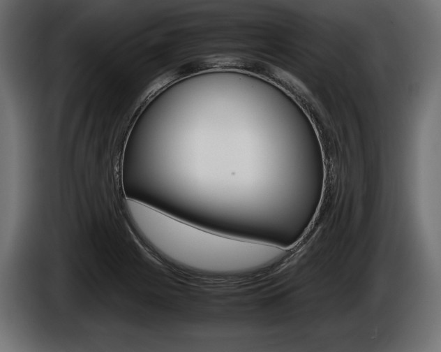 X0000086961225200704161116