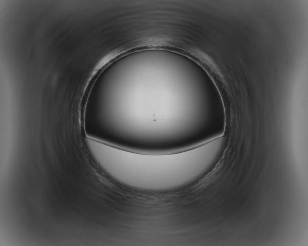 X0000086961226200704161116