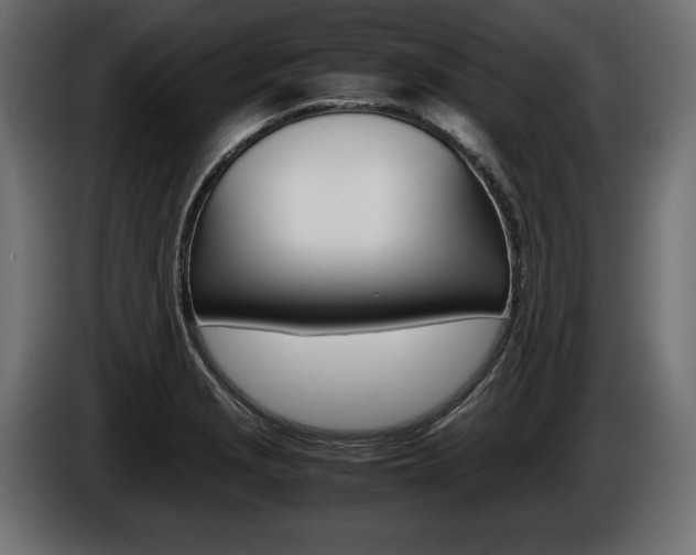 X0000086961229200704161116