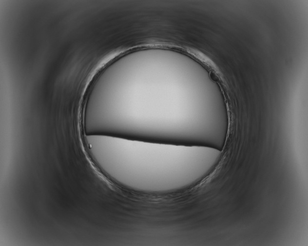 X0000086961231200704161116