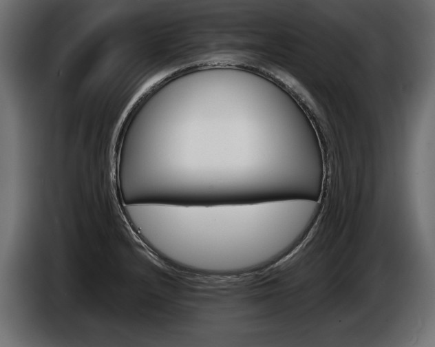 X0000086961232200704161116