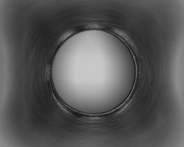 X0000086961233200704161116