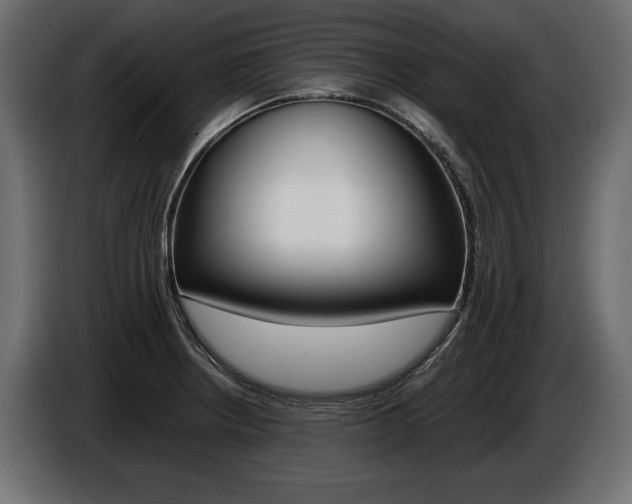 X0000086961234200704161116