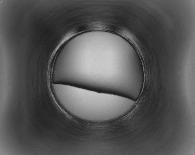 X0000086961235200704161116