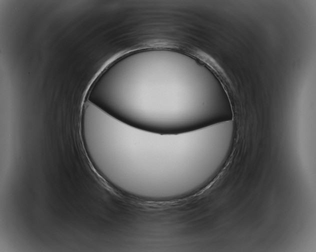 X0000086961236200704161116
