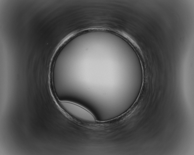 X0000086961237200704161116
