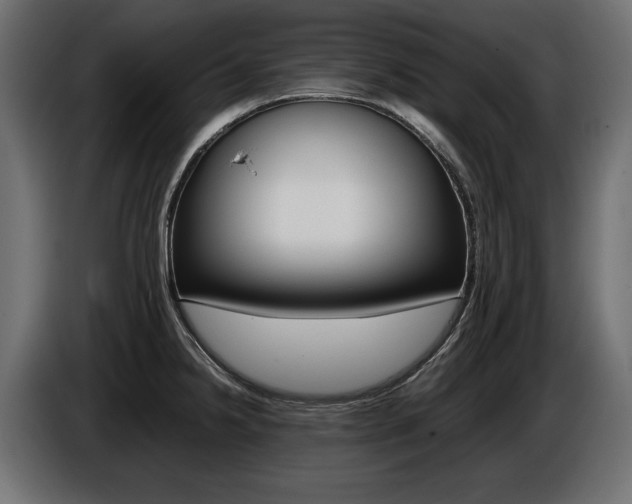 X0000086961238200704161116