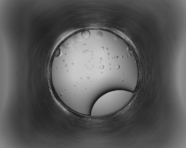 X0000086961239200704161116