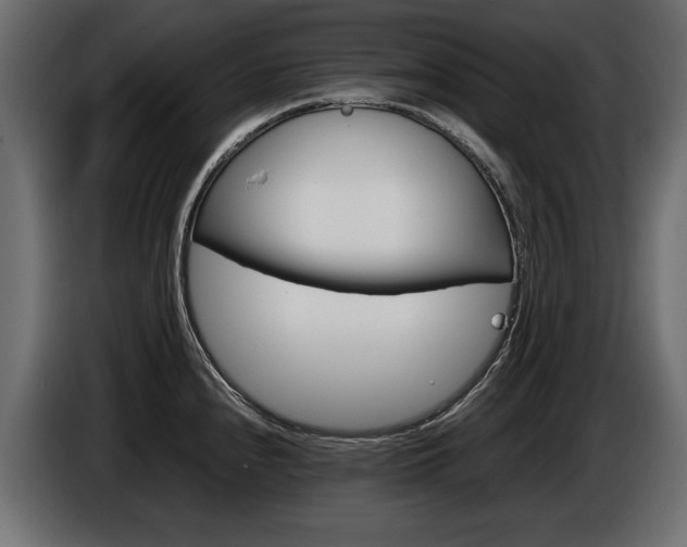 X0000086961240200704161116