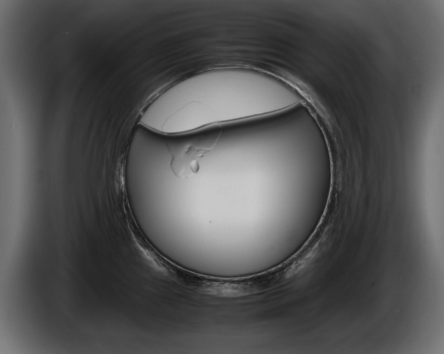 X0000086961241200704161117