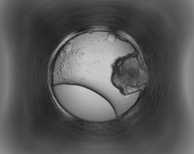 X0000086961243200704161117