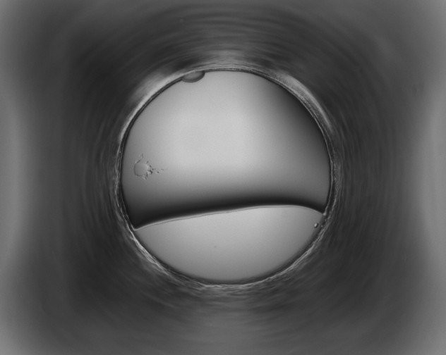X0000086961244200704161117