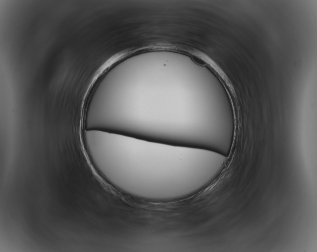 X0000086961245200704161117