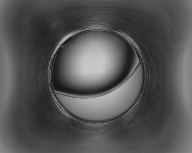 X0000086961246200704161117