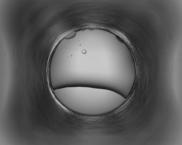 X0000086961247200704161117
