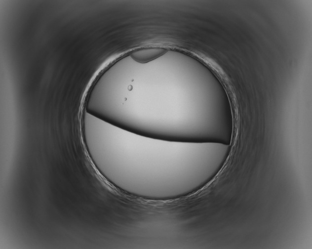X0000086961248200704161117