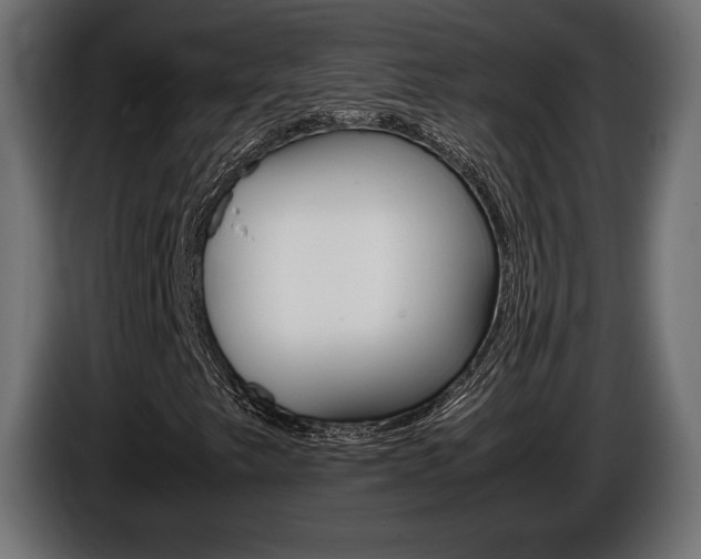 X0000086961249200704161116