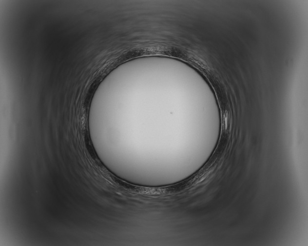 X0000086961251200704161116