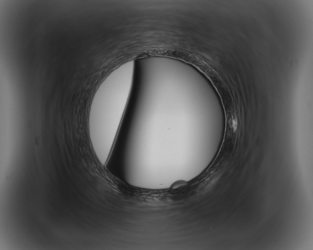 X0000086961252200704161116