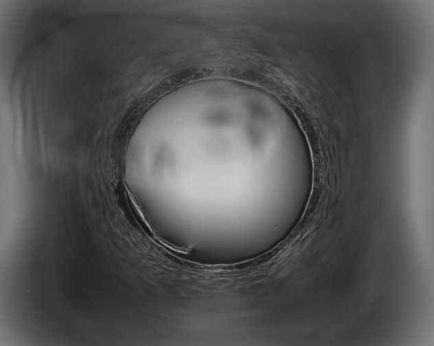 X0000086961253200704161116
