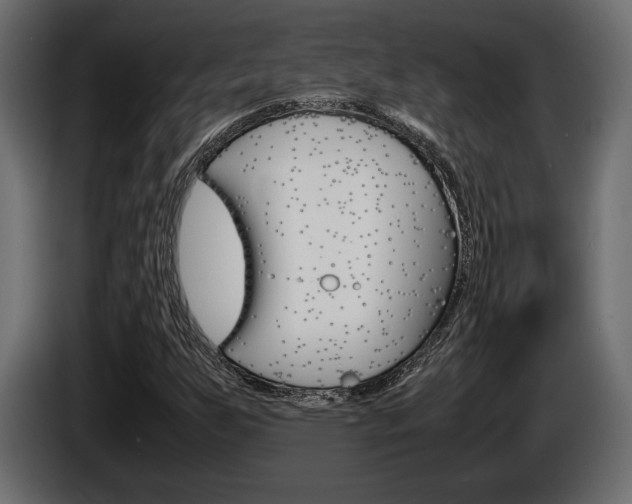 X0000086961255200704161116
