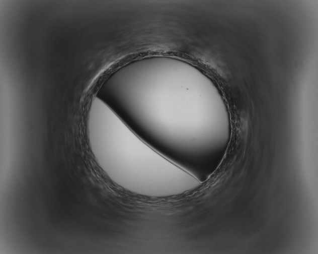 X0000086961256200704161116