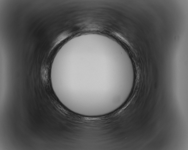X0000086961258200704161116