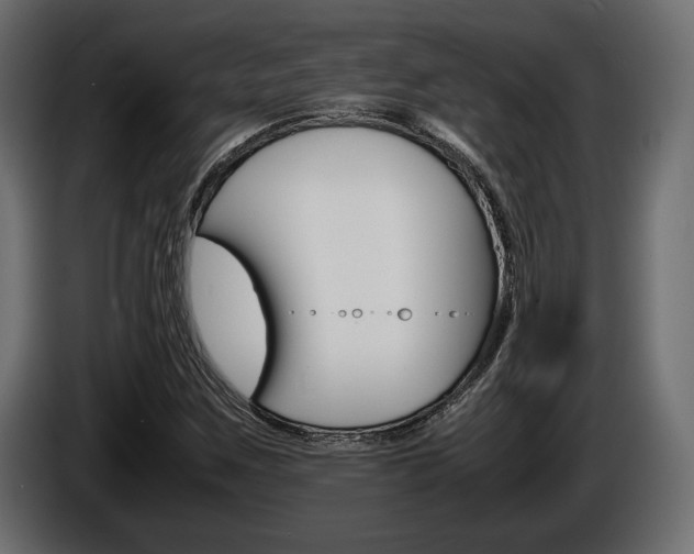 X0000086961259200704161116