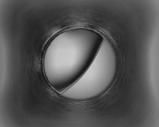X0000086961260200704161116