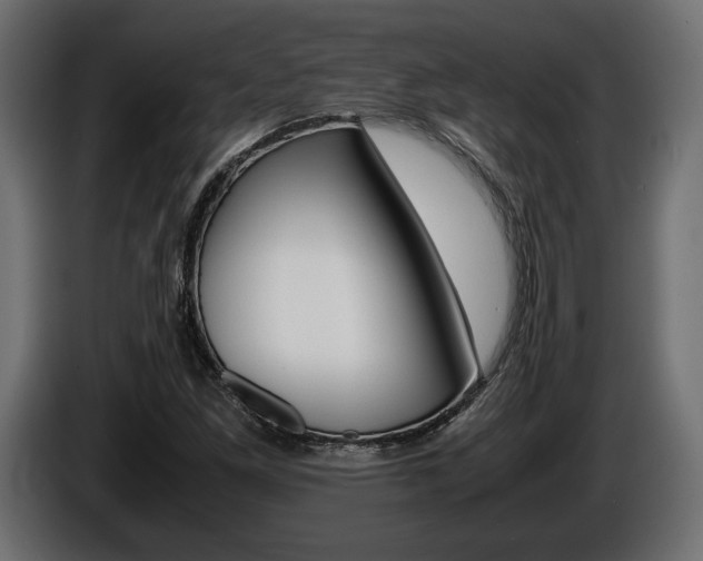 X0000086961261200704161116