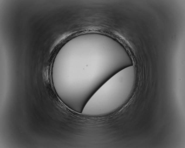 X0000086961262200704161116