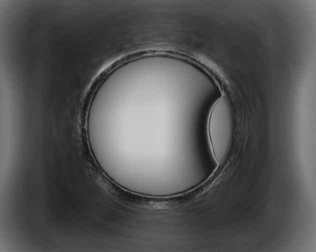 X0000086961264200704161116
