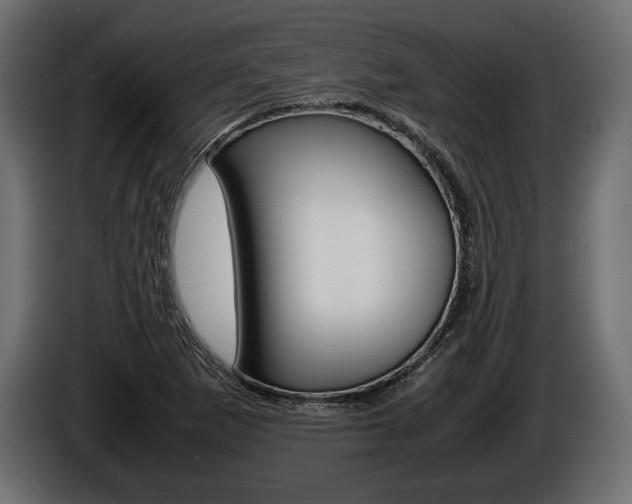 X0000086961265200704161116