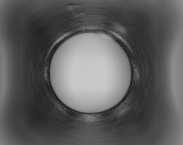 X0000086961266200704161116