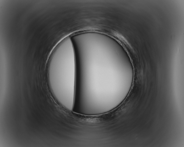 X0000086961268200704161116