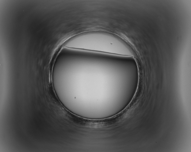 X0000086961269200704161116