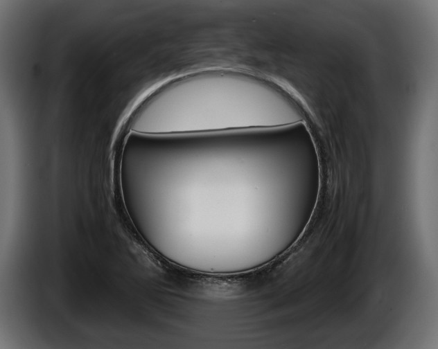 X0000086961270200704161116