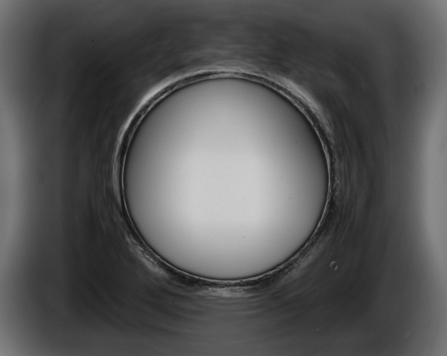X0000086961272200704161116
