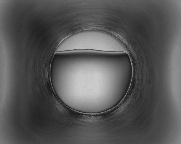 X0000086961273200704161116