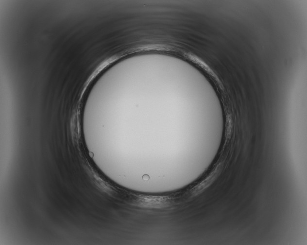 X0000086961274200704161116