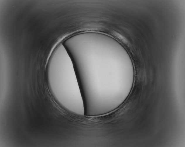 X0000086961275200704161116