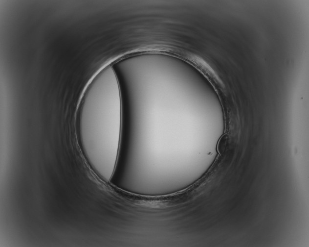 X0000086961276200704161116