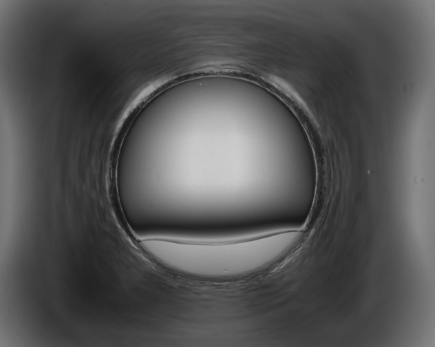 X0000086961277200704161116