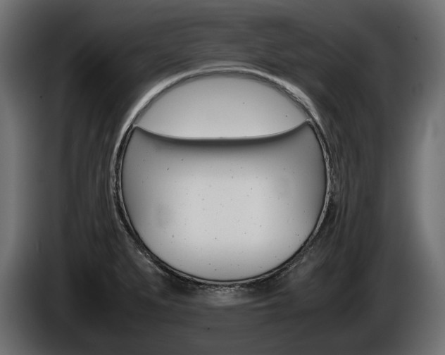 X0000086961279200704161116