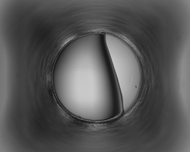 X0000086961281200704161115