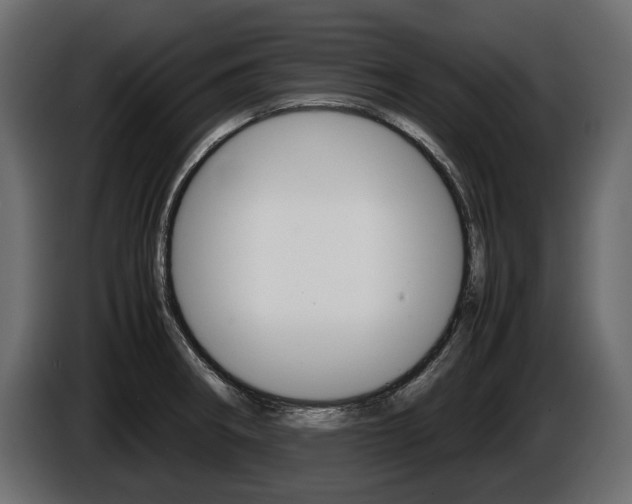 X0000086961282200704161115