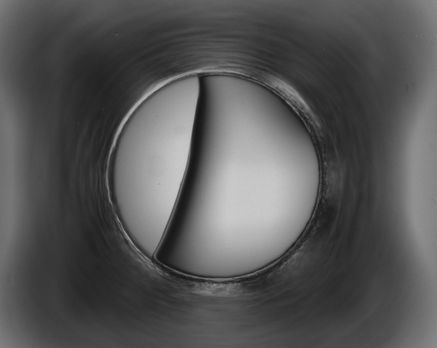 X0000086961284200704161115