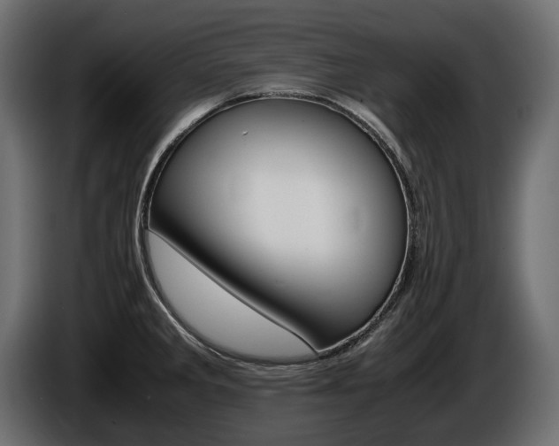 X0000086961285200704161115