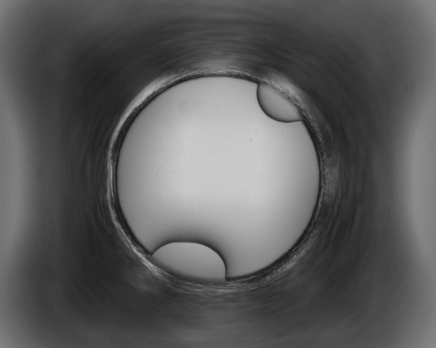 X0000086961286200704161115