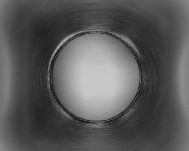 X0000086961288200704161115
